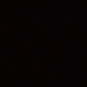 Meet your Posher, Bella